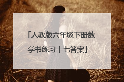 人教版六年级下册数学书练习十七答案