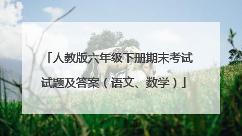 人教版六年级下册期末考试试题及答案（语文、数学）