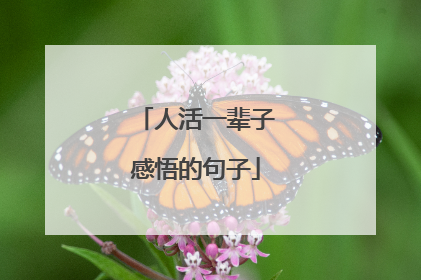 人活一辈子感悟的句子