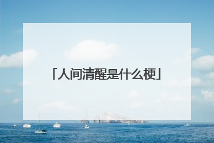 人间清醒是什么梗