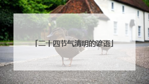 二十四节气清明的谚语