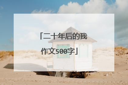 二十年后的我作文500字