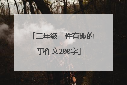 二年级一件有趣的事作文200字