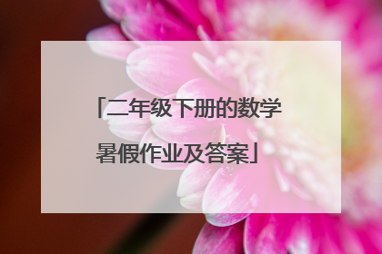 二年级下册的数学暑假作业及答案