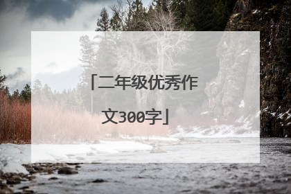 二年级优秀作文300字