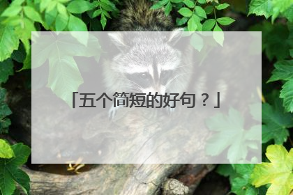 五个简短的好句？
