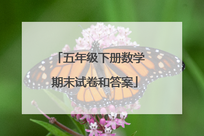 五年级下册数学期末试卷和答案