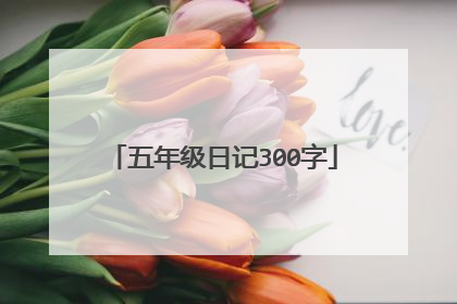 五年级日记300字