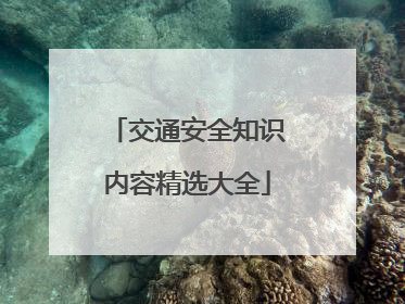 交通安全知识内容精选大全