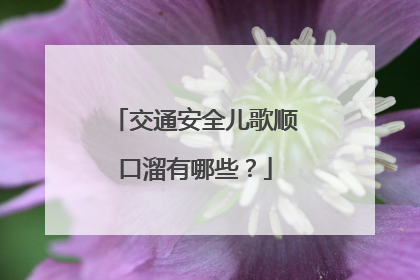 交通安全儿歌顺口溜有哪些？