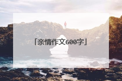 亲情作文600字