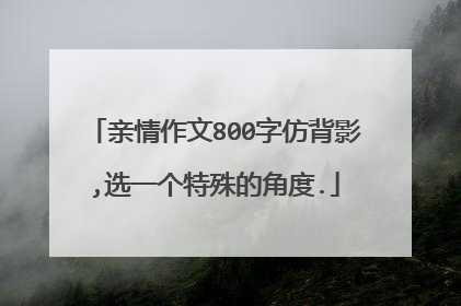 亲情作文800字仿背影,选一个特殊的角度.