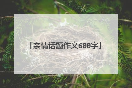 亲情话题作文600字