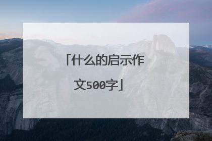 什么的启示作文500字