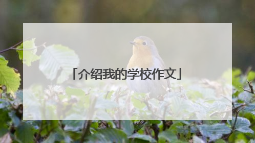 介绍我的学校作文