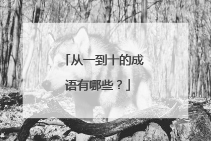 从一到十的成语有哪些?