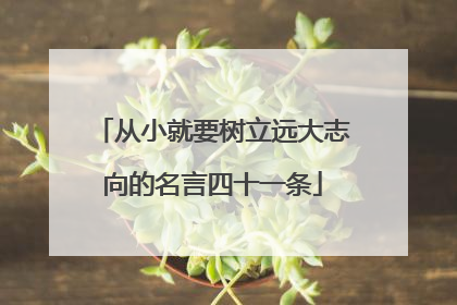 从小就要树立远大志向的名言四十一条