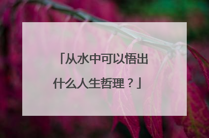 从水中可以悟出什么人生哲理？