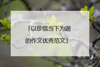 以珍惜当下为题的作文优秀范文