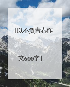 以不负青春作文600字
