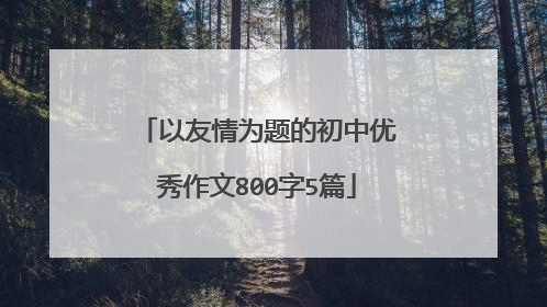 以友情为题的初中优秀作文800字5篇