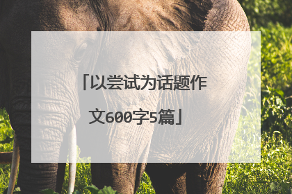 以尝试为话题作文600字5篇