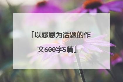 以感恩为话题的作文600字5篇