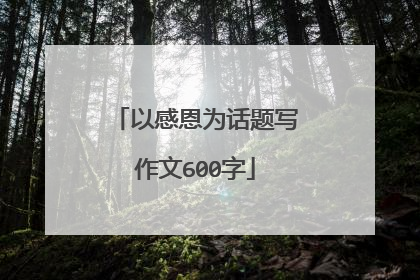 以感恩为话题写作文600字