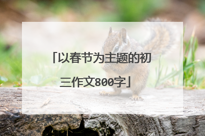 以春节为主题的初三作文800字