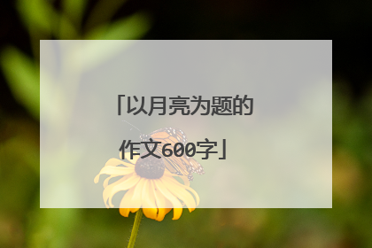 以月亮为题的作文600字