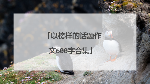 以榜样的话题作文600字合集