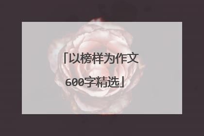 以榜样为作文600字精选