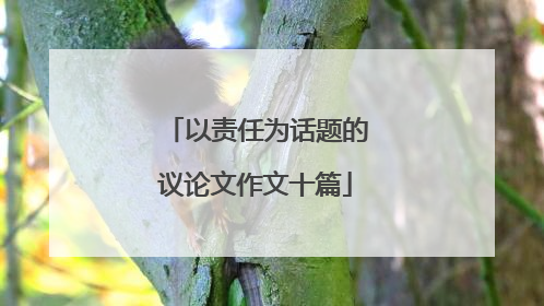 以责任为话题的议论文作文十篇