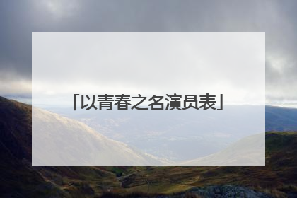 以青春之名演员表