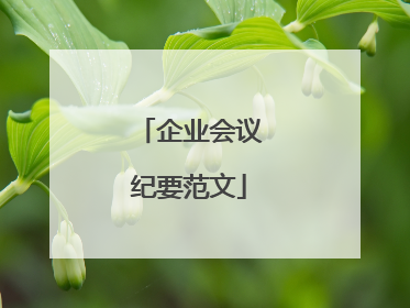 企业会议纪要范文