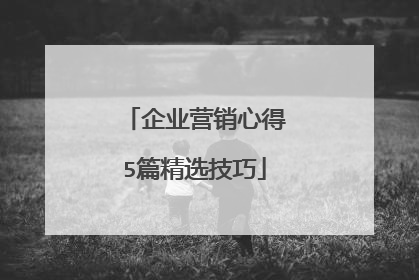 企业营销心得5篇精选技巧