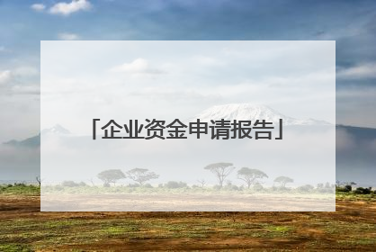 企业资金申请报告