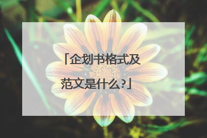 企划书格式及范文是什么?