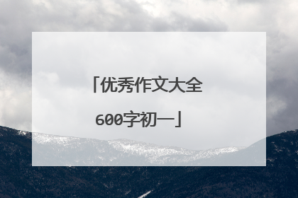 优秀作文大全600字初一