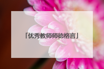 优秀教师师德格言