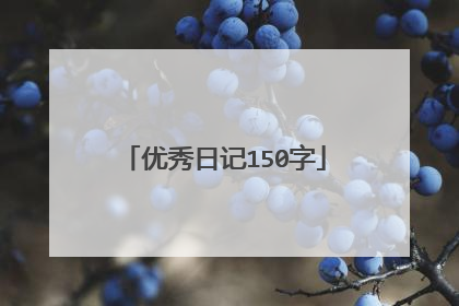 优秀日记150字