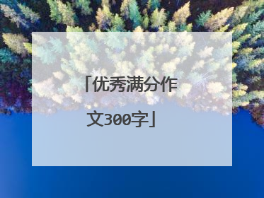 优秀满分作文300字