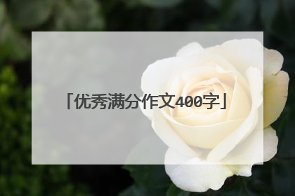 优秀满分作文400字