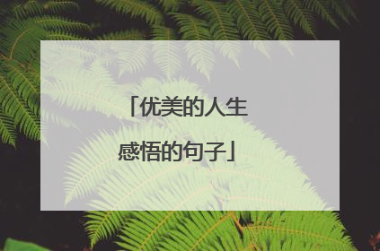 优美的人生感悟的句子