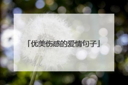 优美伤感的爱情句子