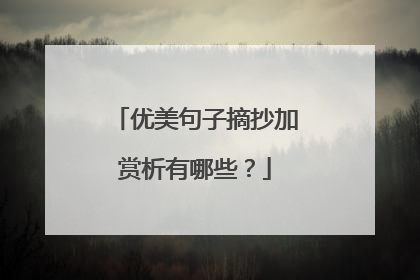 优美句子摘抄加赏析有哪些？