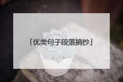 优美句子段落摘抄