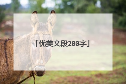 优美文段200字