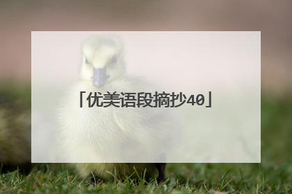 优美语段摘抄40