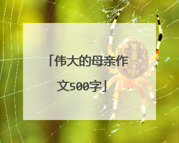 伟大的母亲作文500字